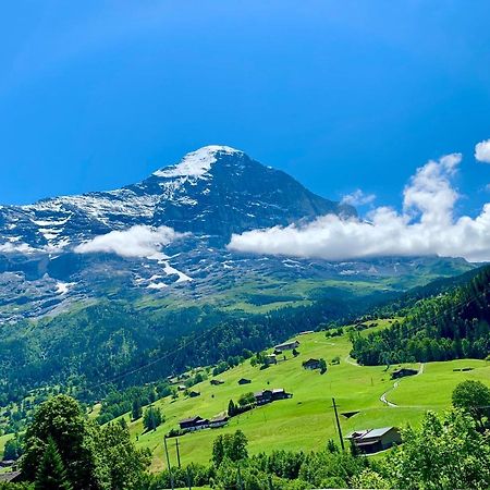 Amazing Apartment Eiger Гріндельвальд Екстер'єр фото